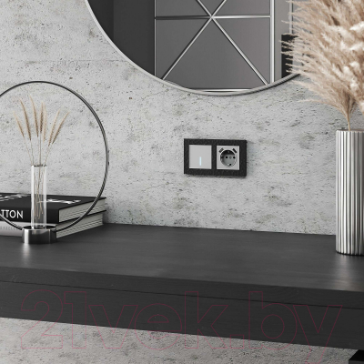 Выключатель Werkel W4510006 Сенсорный одноклавишный