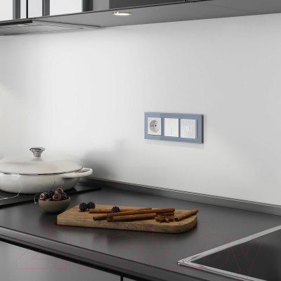 Выключатель Werkel W4510006 Сенсорный одноклавишный