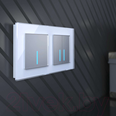 Выключатель Werkel W4510006 Сенсорный одноклавишный