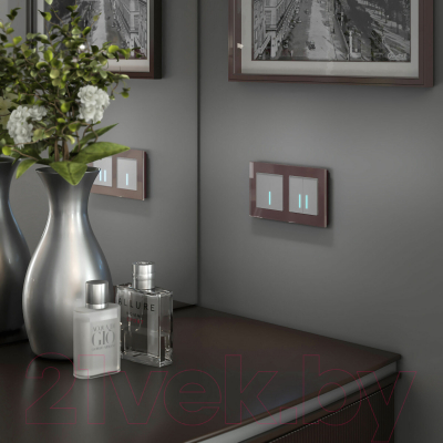 Выключатель Werkel W4510006 Сенсорный одноклавишный