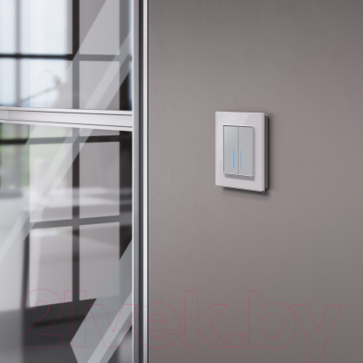 Выключатель Werkel W4520006 Сенсорный двухклавишный