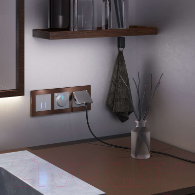 Выключатель Werkel W4520006 Сенсорный двухклавишный