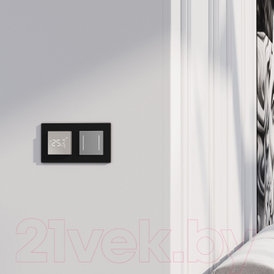 Выключатель Werkel W4522006 Сенсорный двухклавишный