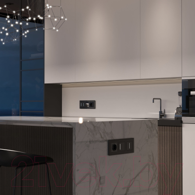 Выключатель Werkel W4512008 Сенсорный одноклавишный