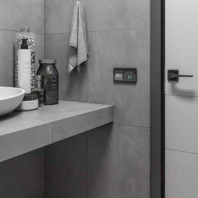 Выключатель Werkel W4520008 Сенсорный двухклавишный