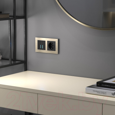 Выключатель Werkel W4520008 Сенсорный двухклавишный