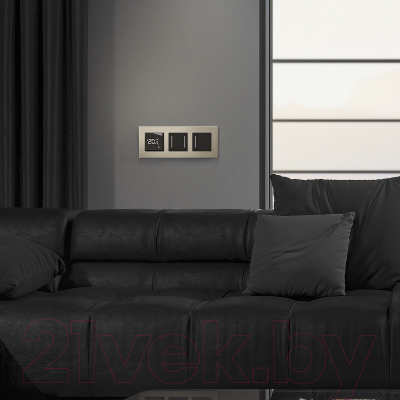 Выключатель Werkel W4522008 Сенсорный двухклавишный