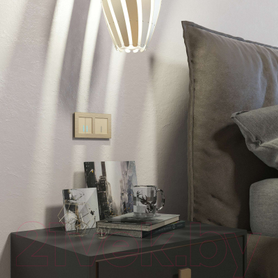 Выключатель Werkel W4510011 Сенсорный одноклавишный