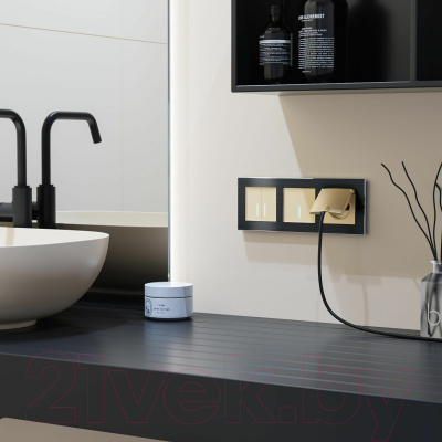 Выключатель Werkel W4510011 Сенсорный одноклавишный