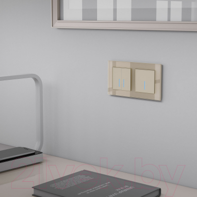 Выключатель Werkel W4510011 Сенсорный одноклавишный