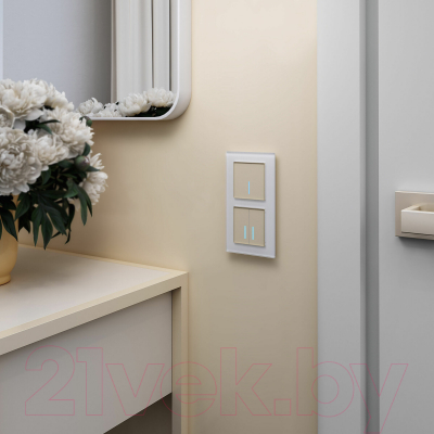 Выключатель Werkel W4510011 Сенсорный одноклавишный