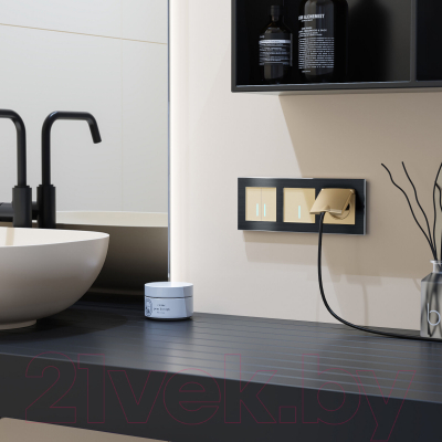 Выключатель Werkel W4520011 Сенсорный двухклавишный