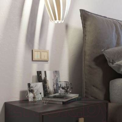 Выключатель Werkel W4520011 Сенсорный двухклавишный