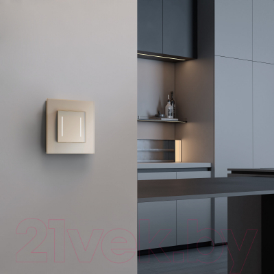 Выключатель Werkel W4522011 Сенсорный двухклавишный