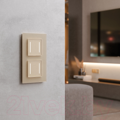 Выключатель Werkel W4522011 Сенсорный двухклавишный