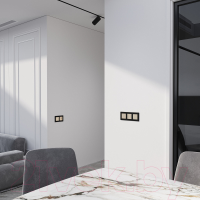 Выключатель Werkel W4522011 Сенсорный двухклавишный