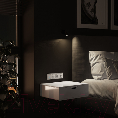 Рамка для выключателей и розеток Werkel Acrylic W0042701