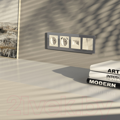 Рамка для выключателей и розеток Werkel Acrylic W0042704