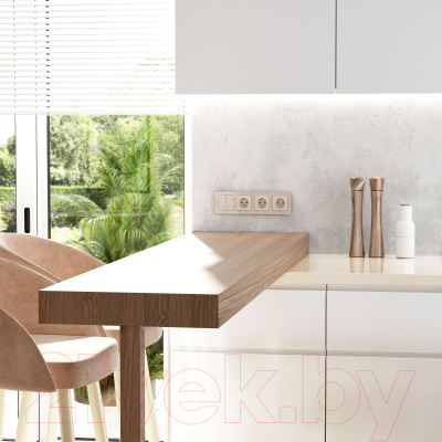 Рамка для выключателей и розеток Werkel Acrylic W0042743