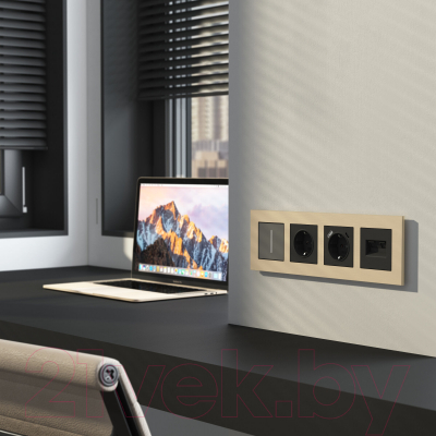 Рамка для выключателей и розеток Werkel AluMax W0043511