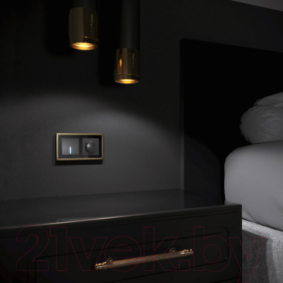 Рамка для выключателей и розеток Werkel Baguette W0022852