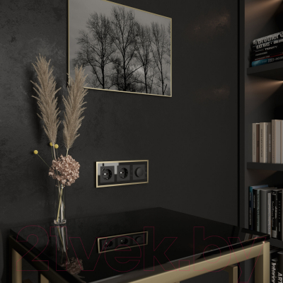 Рамка для выключателей и розеток Werkel Baguette W0032852