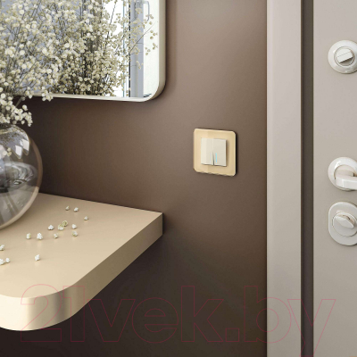 Рамка для выключателей и розеток Werkel Elite W0012443