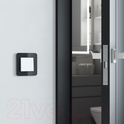 Рамка для выключателей и розеток Werkel Elite W0012448