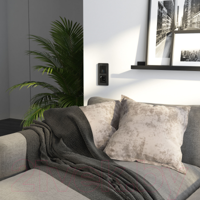 Рамка для выключателей и розеток Werkel Elite W0022448