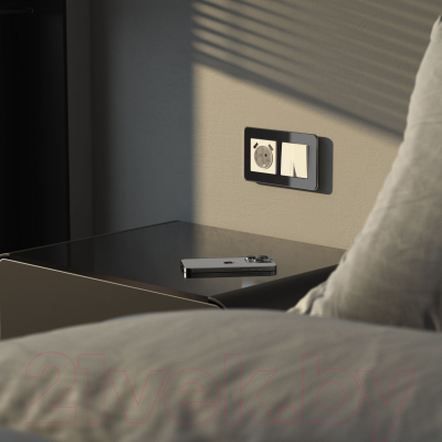 Рамка для выключателей и розеток Werkel Elite W0022448