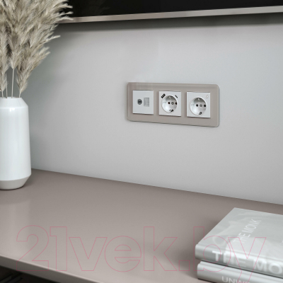 Рамка для выключателей и розеток Werkel Elite W0032417