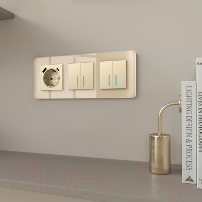 Рамка для выключателей и розеток Werkel Elite W0032443