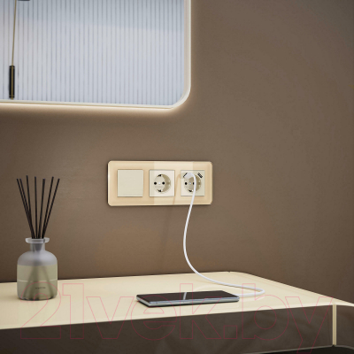 Рамка для выключателей и розеток Werkel Elite W0032443