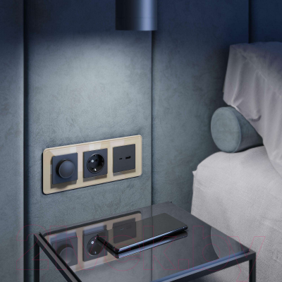 Рамка для выключателей и розеток Werkel Elite W0032443