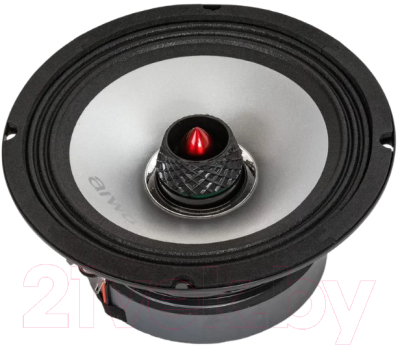 Среднечастотная АС Aiwa ASL-6552