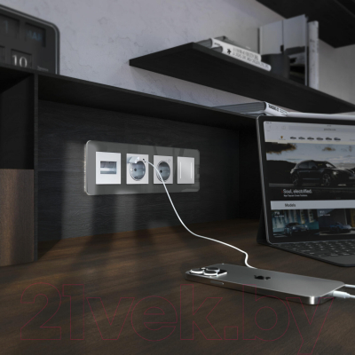 Рамка для выключателей и розеток Werkel Elite W0042440