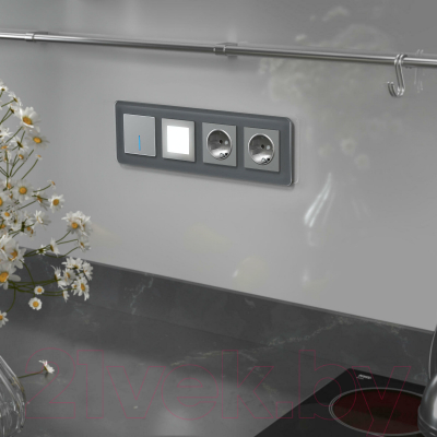 Рамка для выключателей и розеток Werkel Elite W0042440