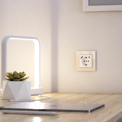 Рамка для выключателей и розеток Werkel Favorit W0011141