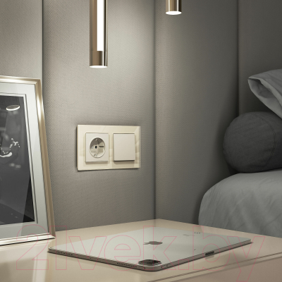 Рамка для выключателей и розеток Werkel Favorit W0021141