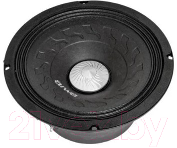 Среднечастотная АС Aiwa ASN-6582