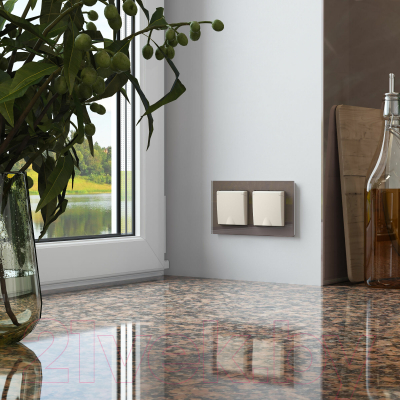 Рамка для выключателей и розеток Werkel Favorit W0021142