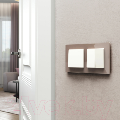 Рамка для выключателей и розеток Werkel Favorit W0021142