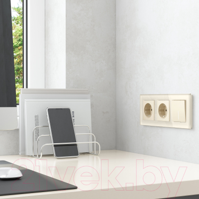 Рамка для выключателей и розеток Werkel Favorit W0031141