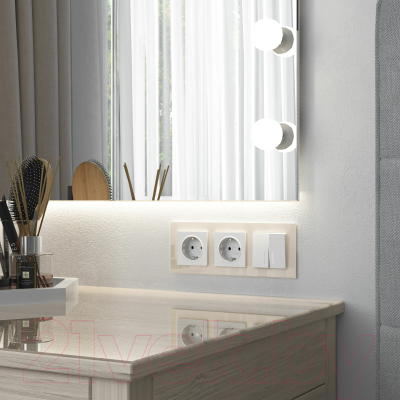 Рамка для выключателей и розеток Werkel Favorit W0031141