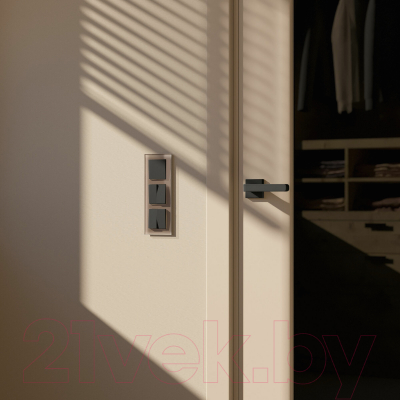 Рамка для выключателей и розеток Werkel Favorit W0031142