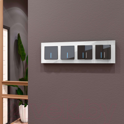 Рамка для выключателей и розеток Werkel Favorit W0041105