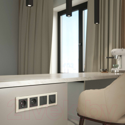 Рамка для выключателей и розеток Werkel Favorit W0041141