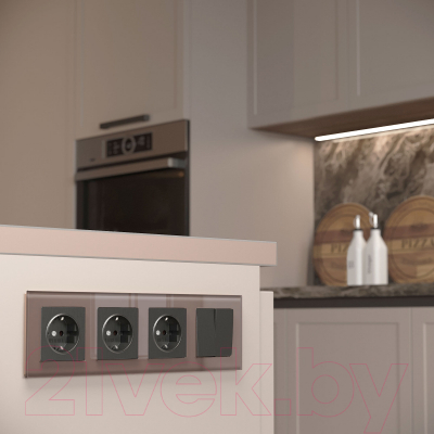 Рамка для выключателей и розеток Werkel Favorit W0041142