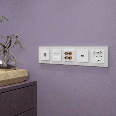 Рамка для выключателей и розеток Werkel Favorit W0051105