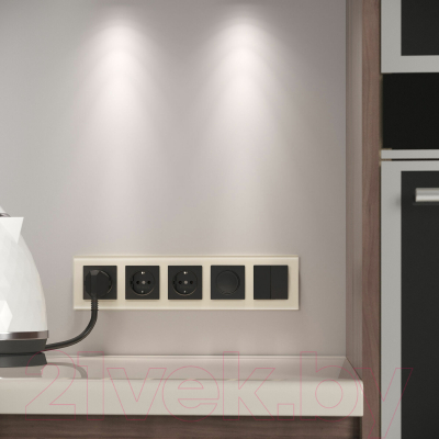 Рамка для выключателей и розеток Werkel Favorit W0051141